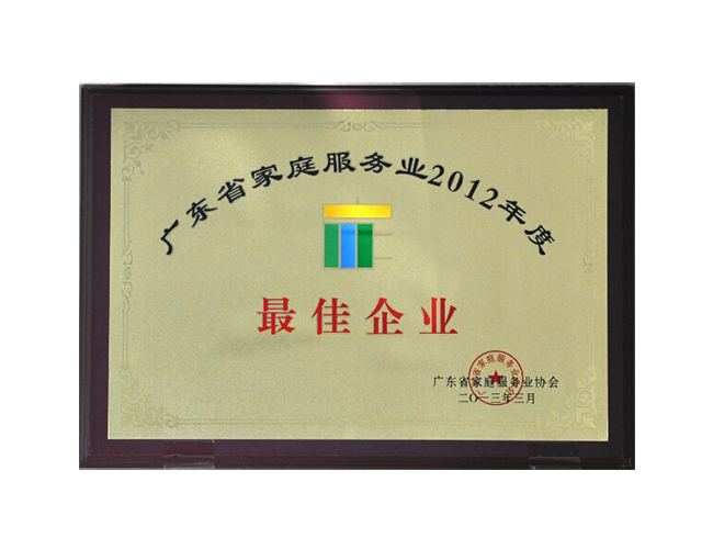 廣東省家庭服務業2012年度